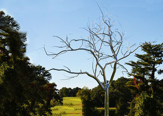 Stainless Steel Tree Sculpture Withered , Outdoor Metal Tree Sculpture Garden